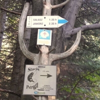 WYCIECZKA KLAS TRZECICH