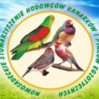 Wystawa ptaków