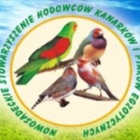Wystawa ptaków