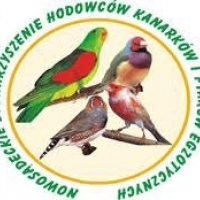 Wystawa ptaków egzotycznych